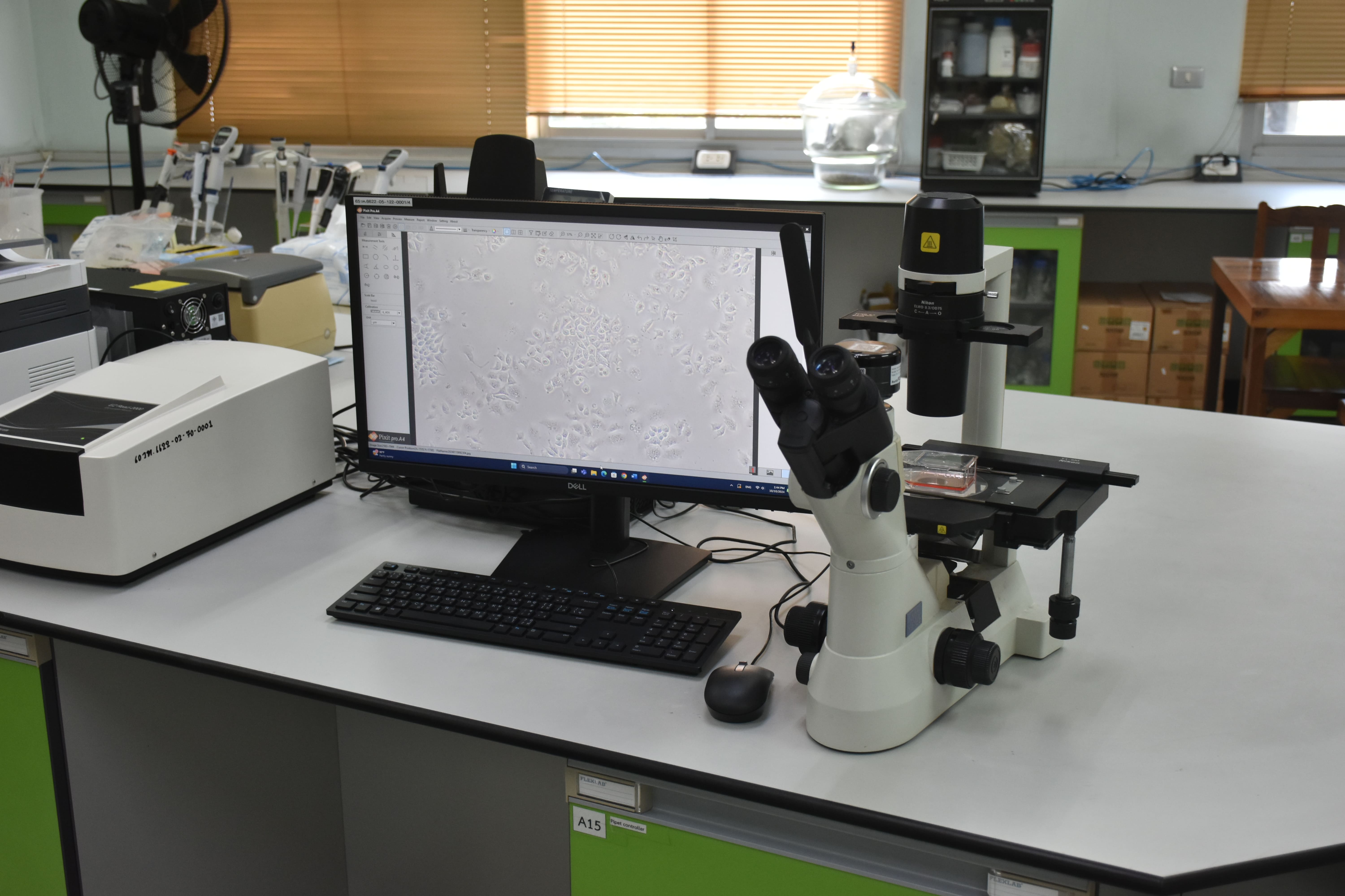 [CT] Cytotoxicity Test